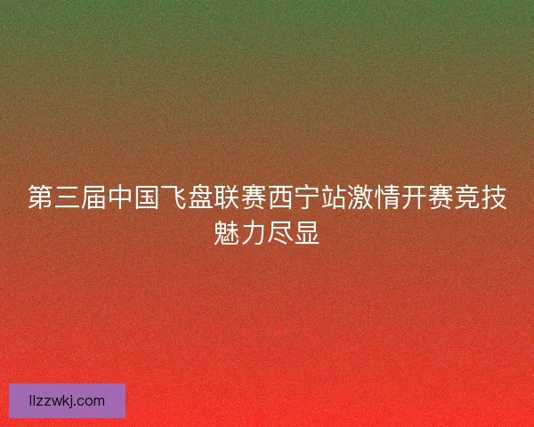 第三届中国飞盘联赛西宁站激情开赛竞技魅力尽显